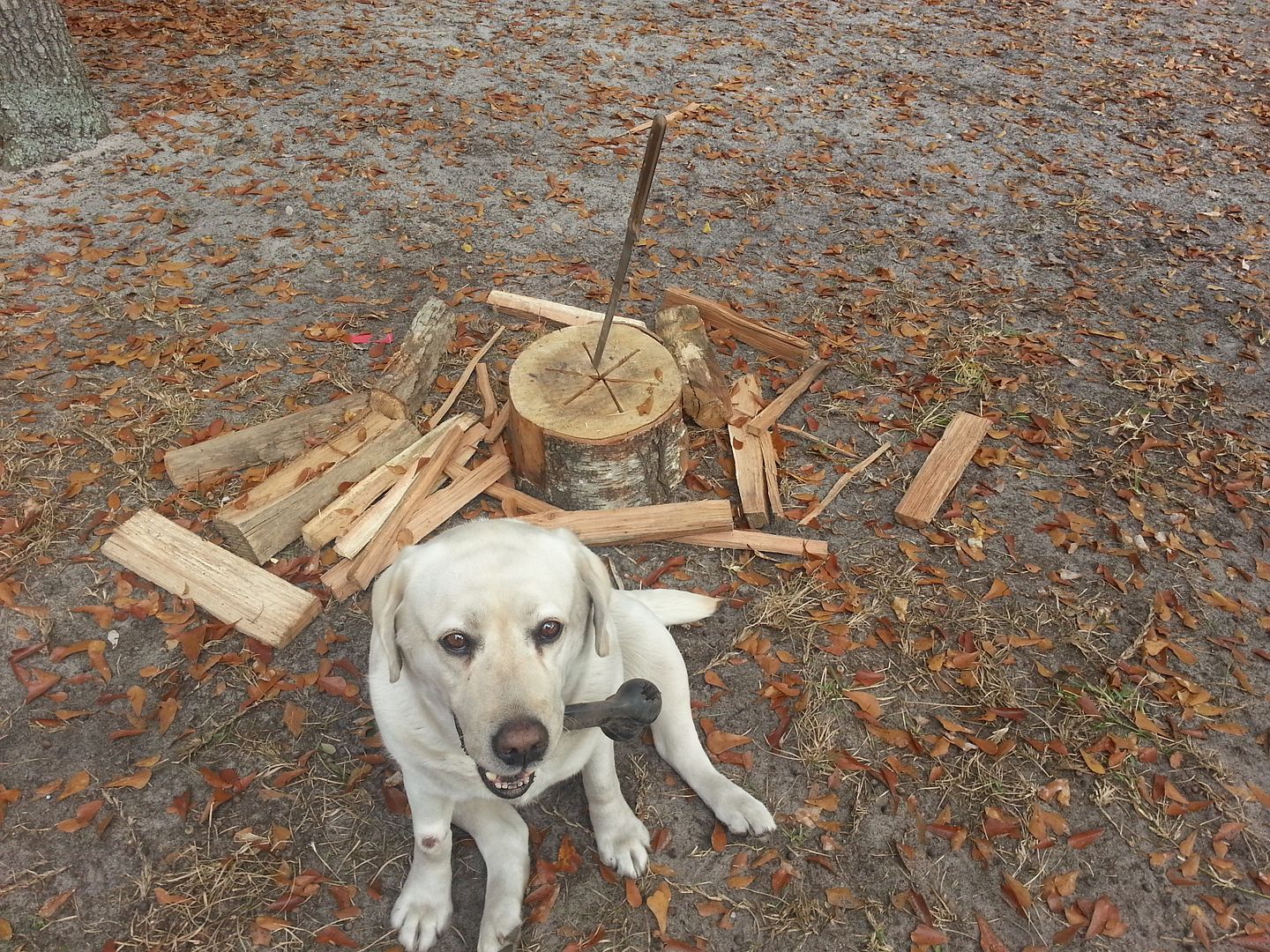 20121210_114840.jpg