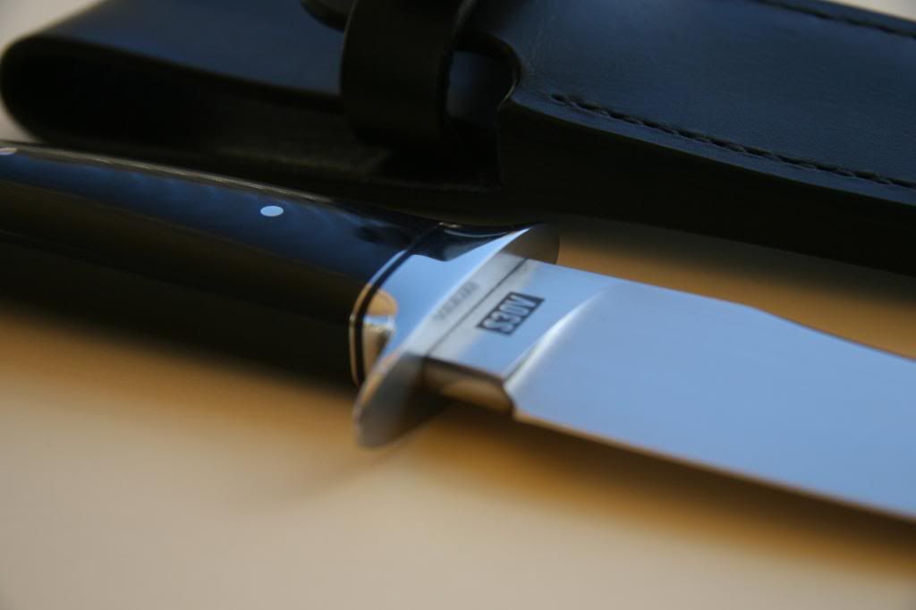 IMG_6566.jpg
