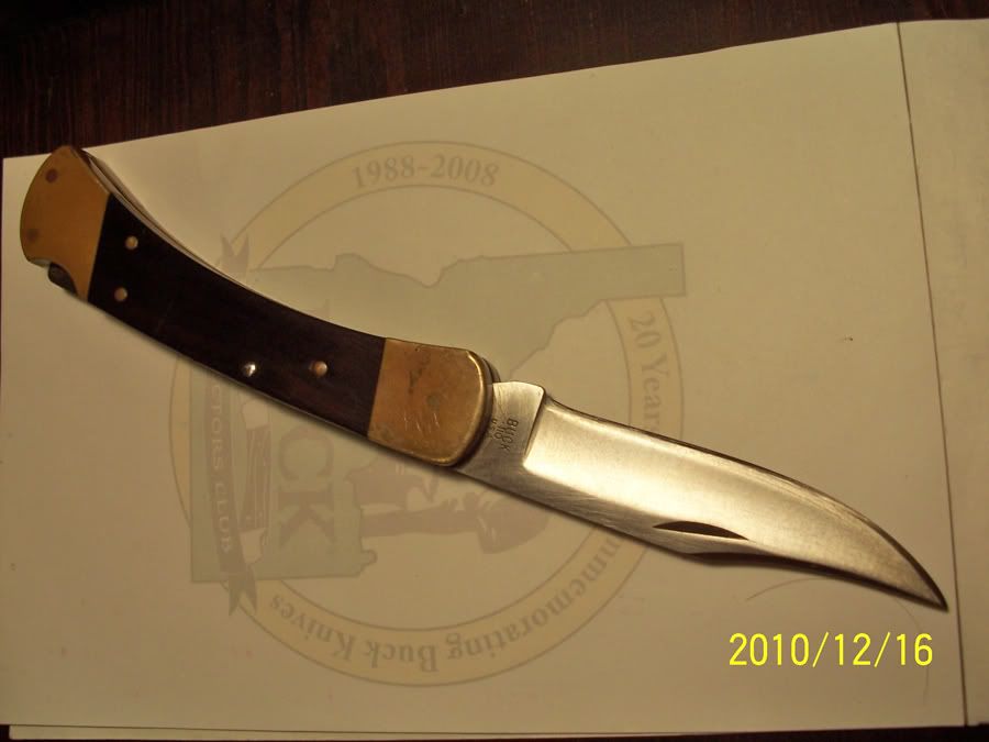 Davids110a.jpg