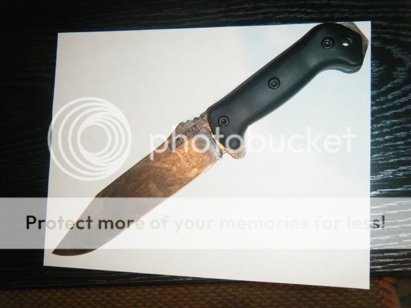 DSCF0726.jpg