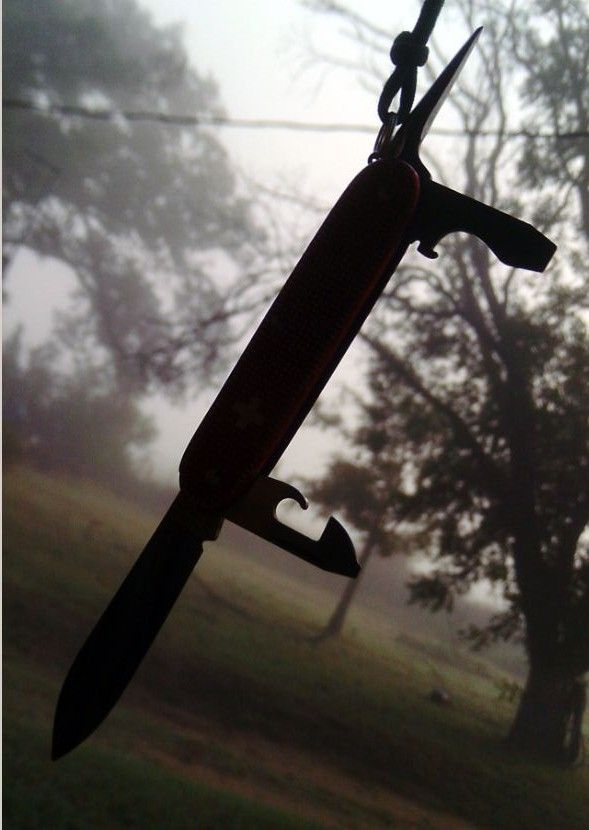 FoggyPioneer_zps86f97fef.jpg