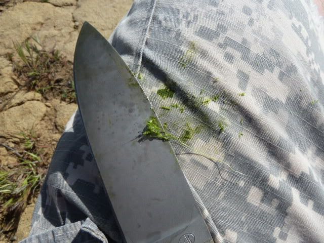 P1000105.jpg