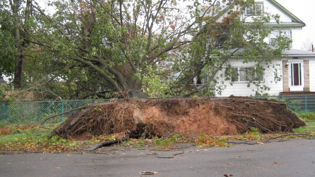 Sandy_aftermath_RahwayNJ_10-30-2012007.jpg