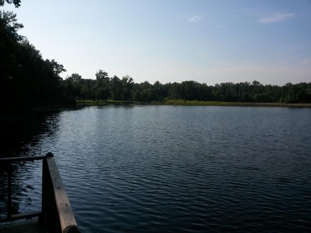 20140803_173837_zpsnp7oirhj.jpg