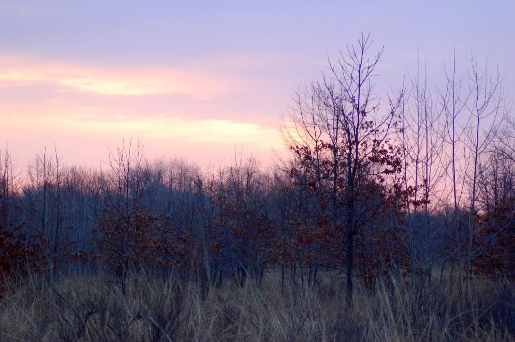 DSC_0054-2.jpg