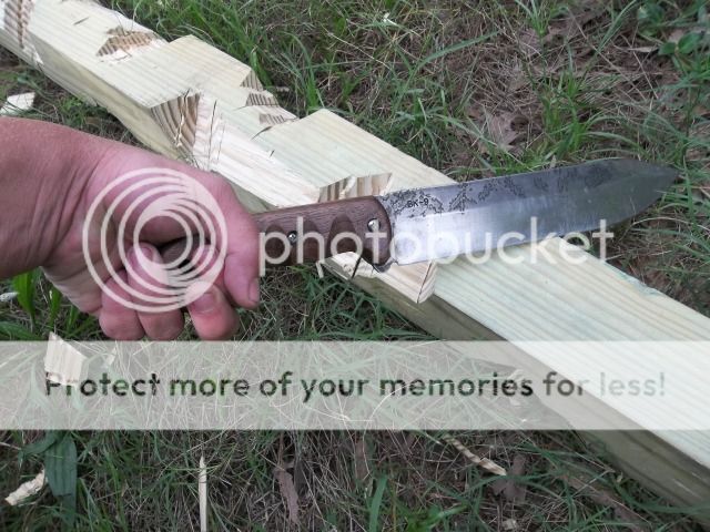 100_2852.jpg
