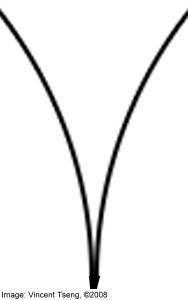 IdealHollowGr.jpg