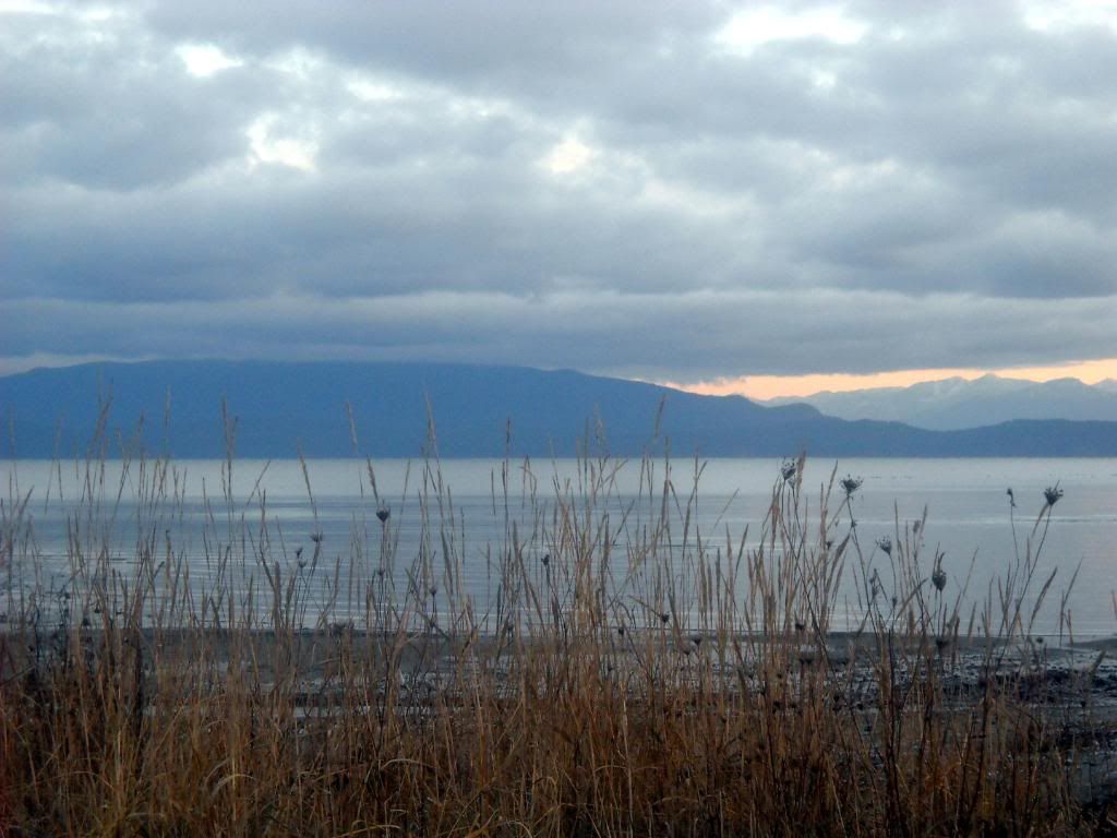 DSCN0268.jpg