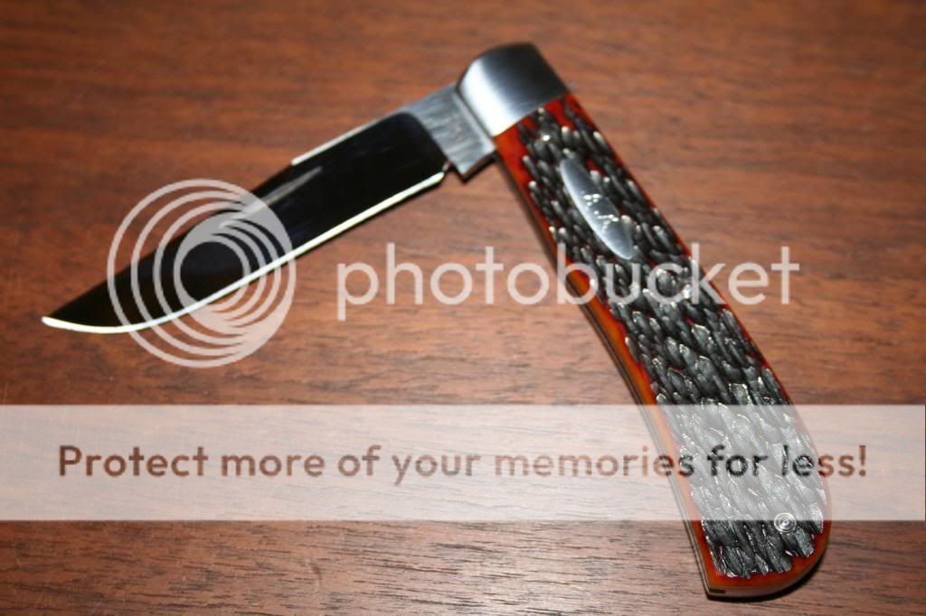 IMG_7139_zpsa707d26e.jpg