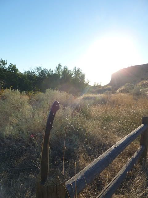 P1010070.jpg
