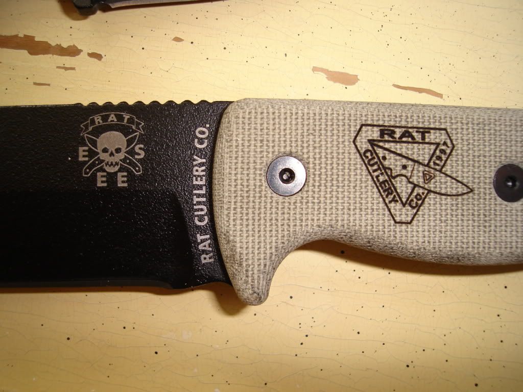 RC-5003.jpg