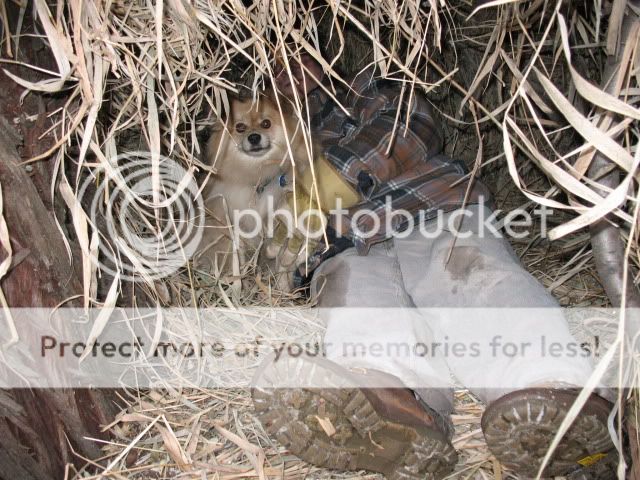 contest_shelter004.jpg
