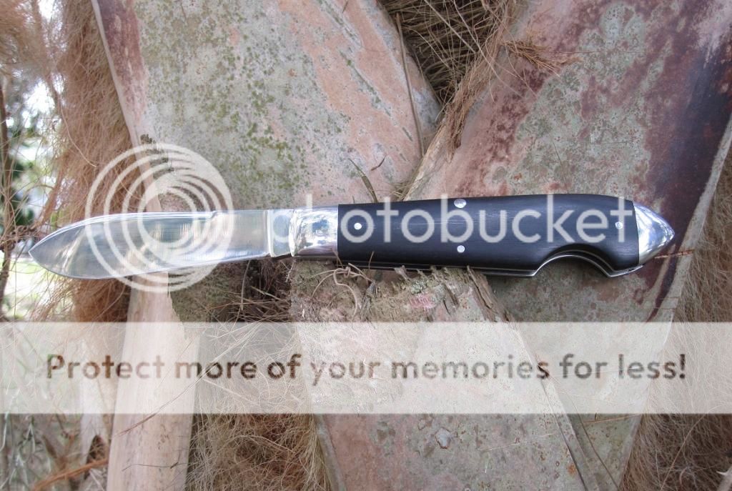 IMG_3579_zps2a57fcb3.jpg~original