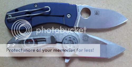 IMG_3684_zpsfc89590a.jpg