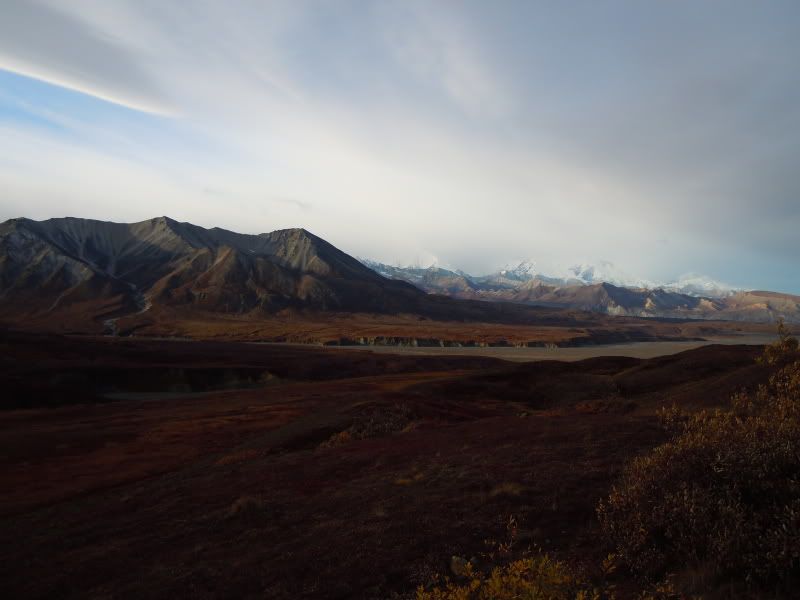 DSCN1204.jpg