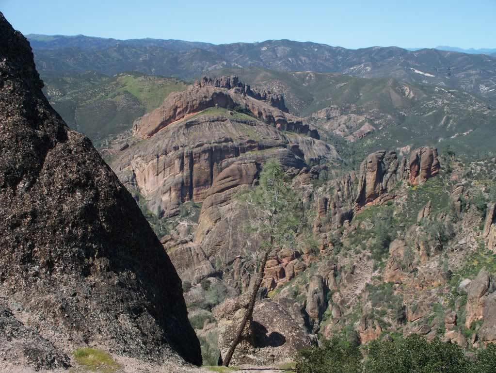 Pinnacles2010044.jpg