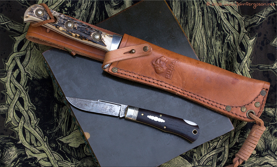 tascosapumaW53-1.jpg