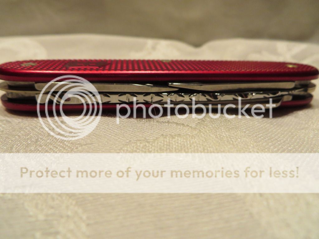 IMG_0670_zpsk817dioq.jpg