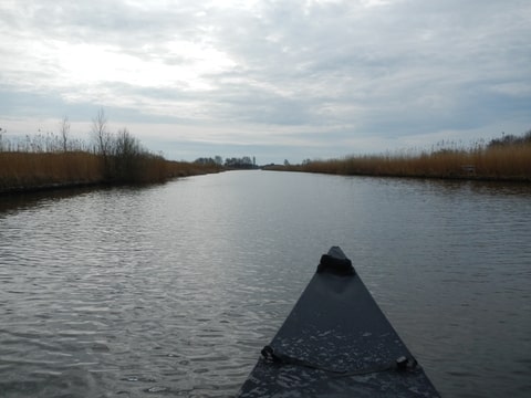 Foto-QNP7LVUF-D.jpg