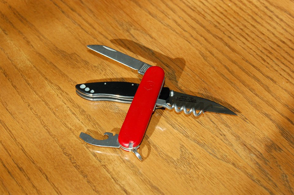 DSC_7446.JPG