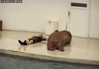 1324.gif