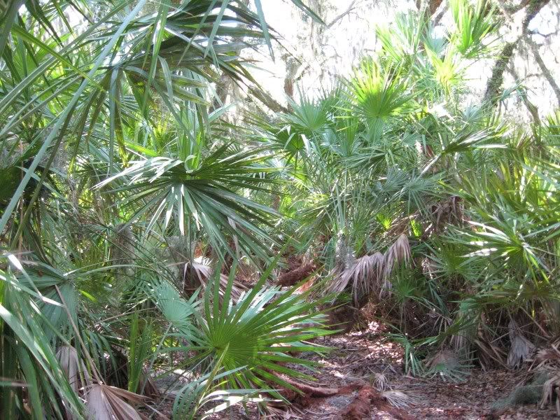 Jekyll023.jpg