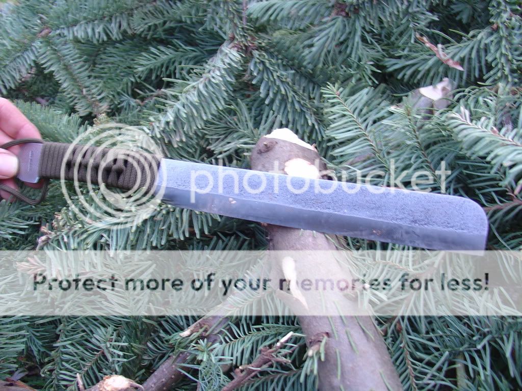 DSC05455.jpg