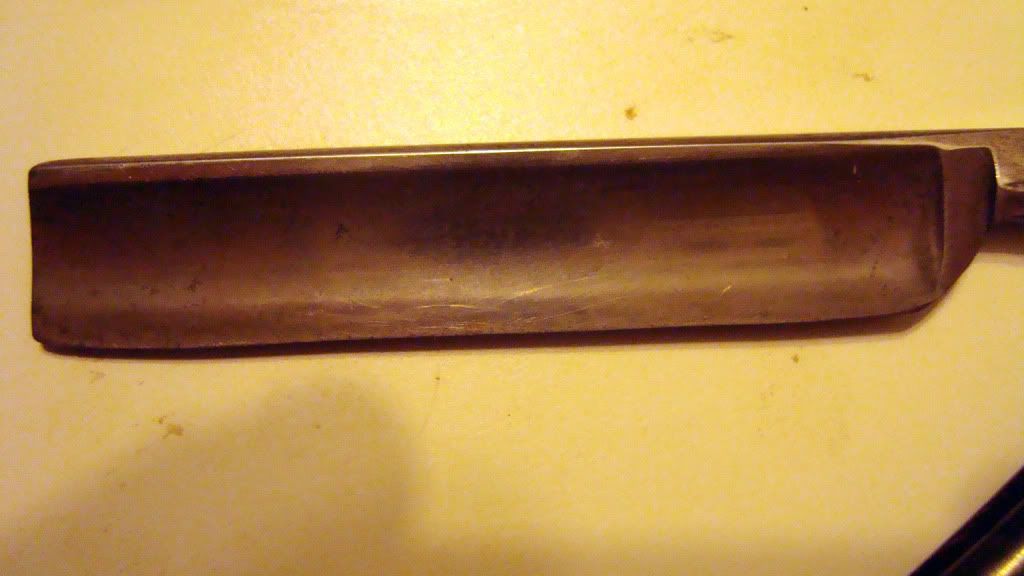 DSC01695.jpg
