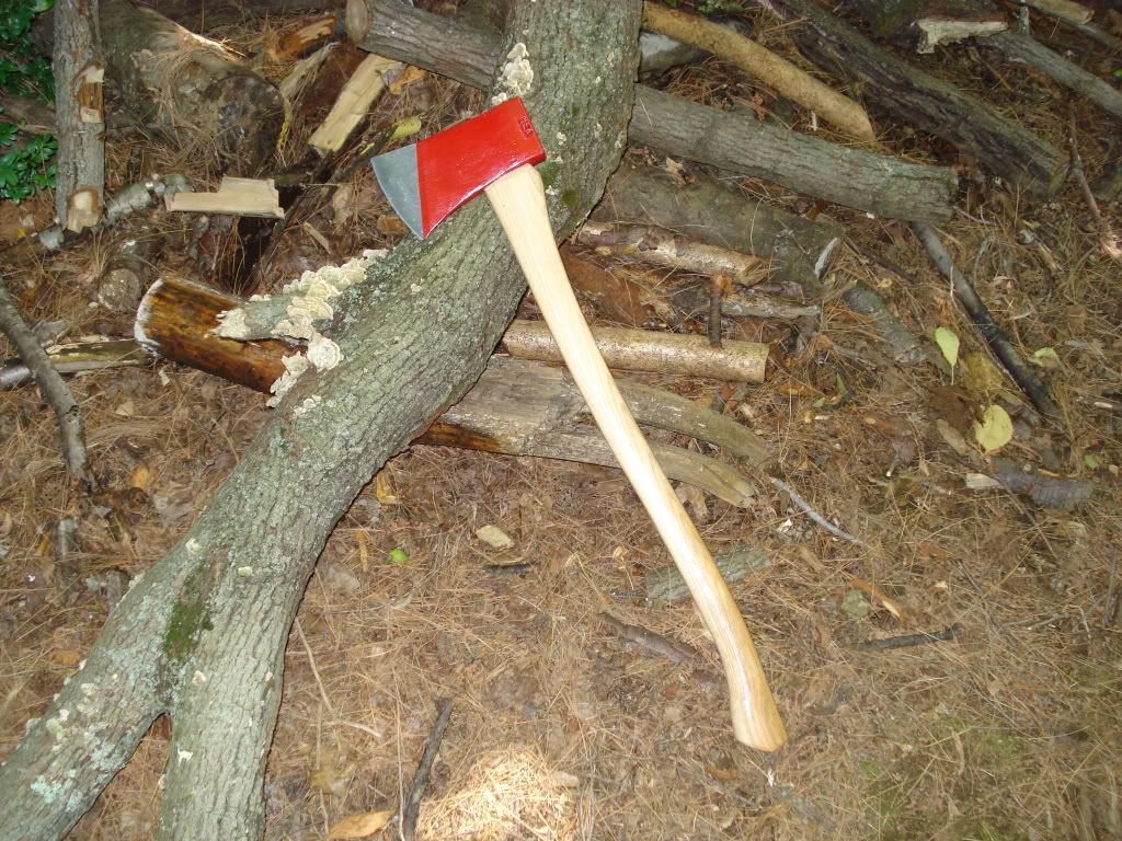 DSC00567.jpg