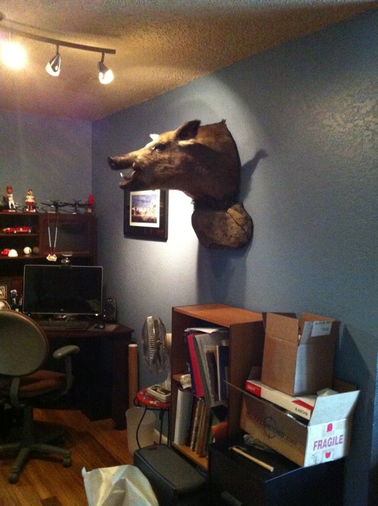 HogMount2.jpg