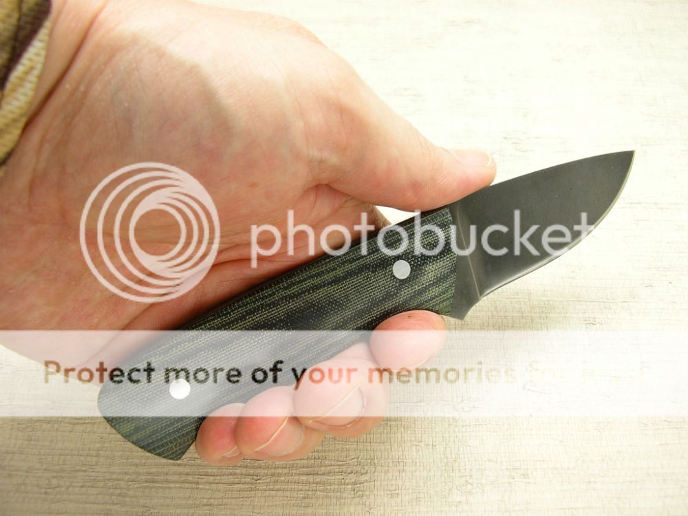 IMGP2095_zpscf8d8d39.jpg