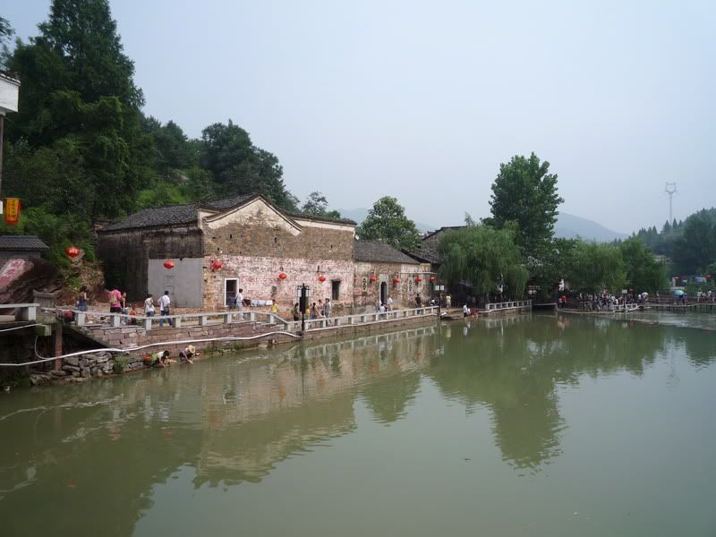 P1000869.jpg