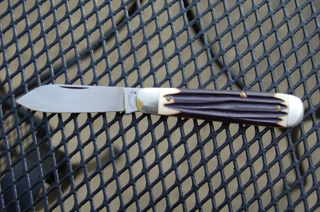 Queencut.jpg