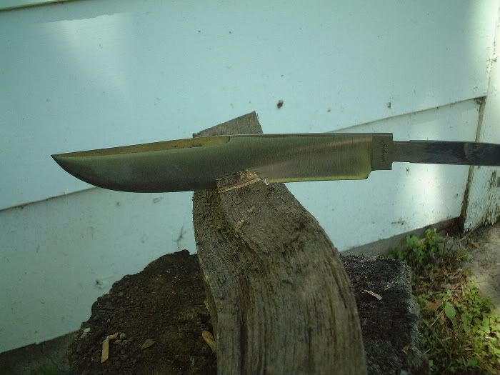 c3-1.jpg