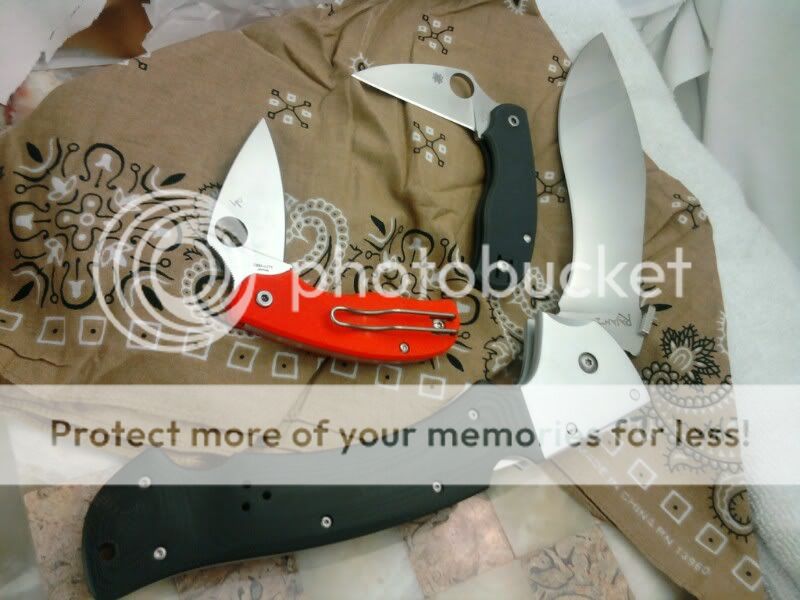 1299111124-picsay.jpg