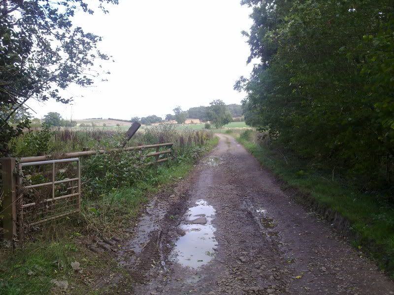 12092011127.jpg