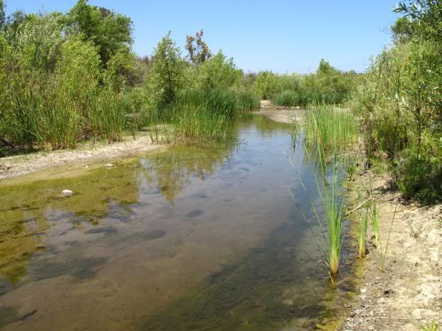IMG_2862.jpg