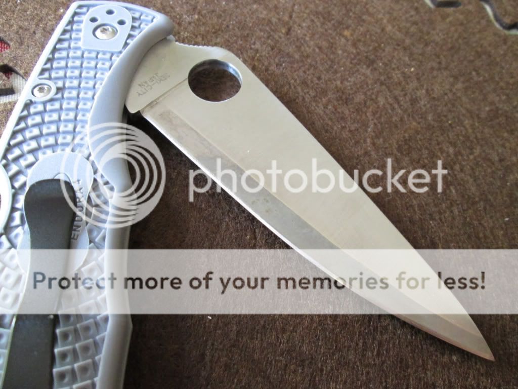 ac218a7aae8f55c278e3a6d87ef2efaa_zpsb5298c2b.jpg