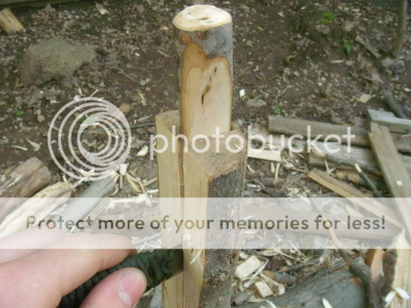 DSCN5763.jpg