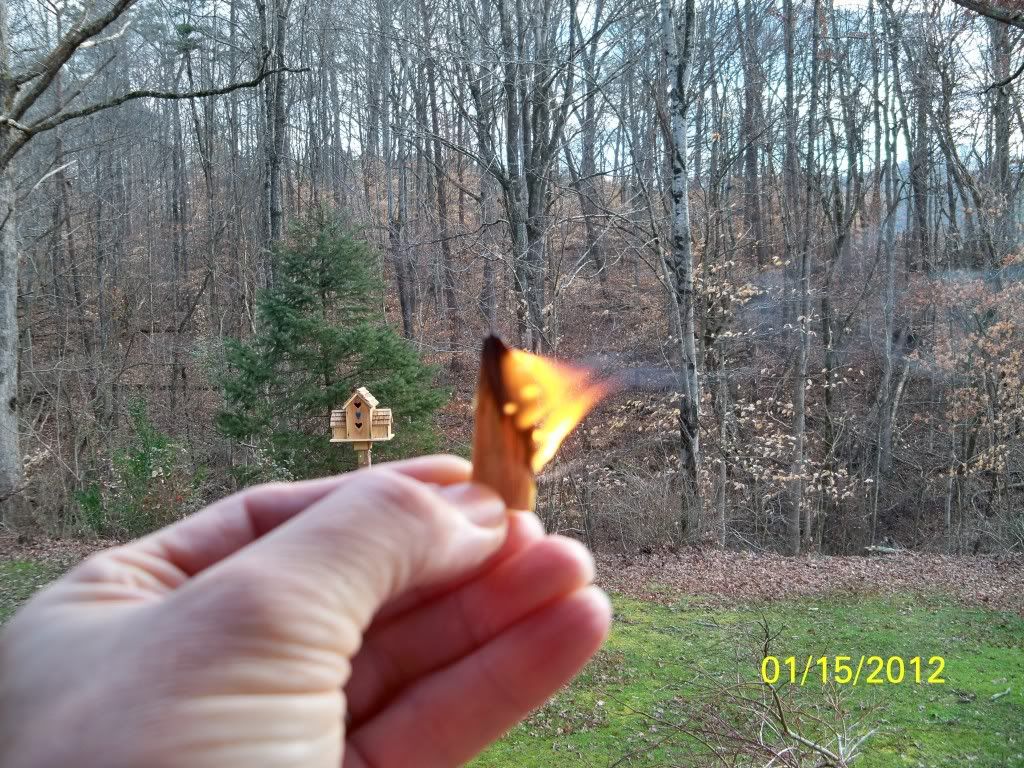 2012-01-15088.jpg