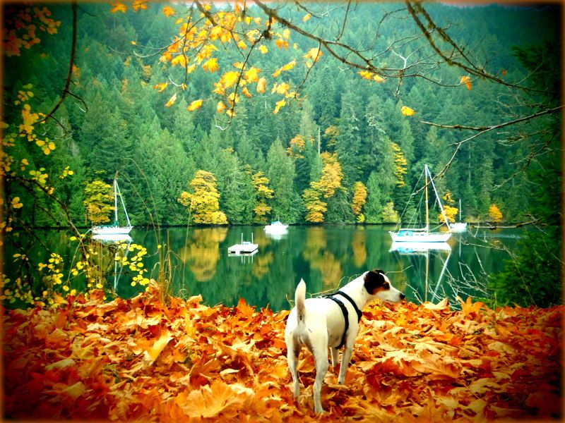 TodInletFall2012006.jpg