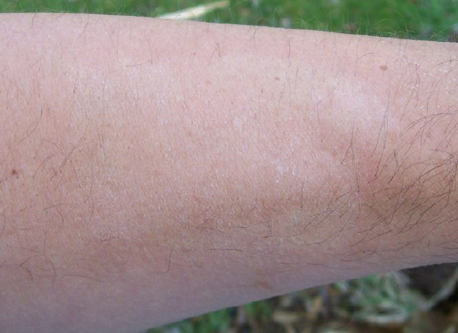 shavingtest.jpg