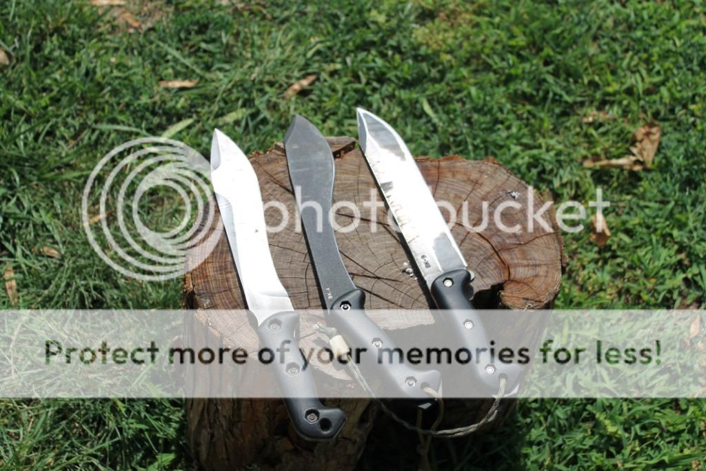 IMG_1356_zpscd1cf509.jpg