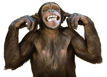 SmilingChimp.jpg