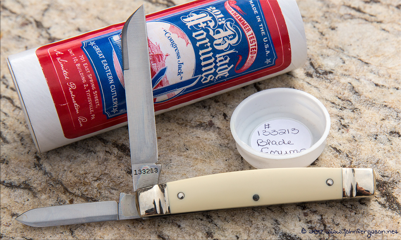 bladeforumscongress2.jpg