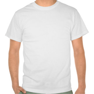 funny_quote_shirt_tshirt-r5a736b8ef4c04652b21382a1c57a18e6_804gy_324.jpg