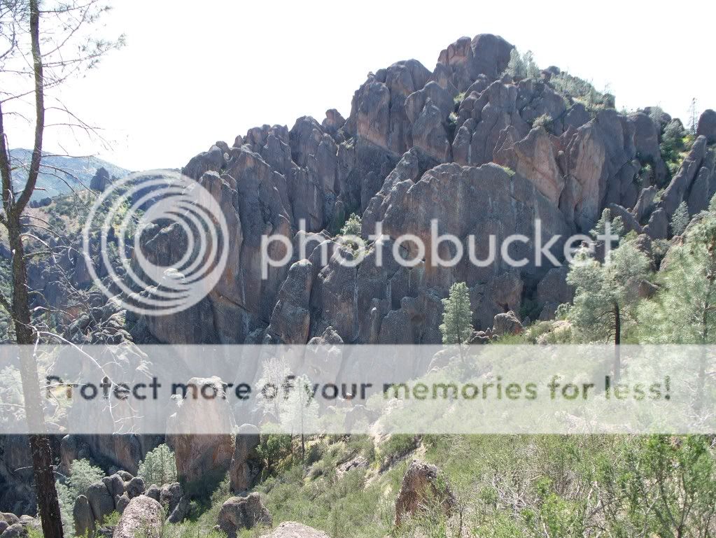 Pinnacles2010029.jpg