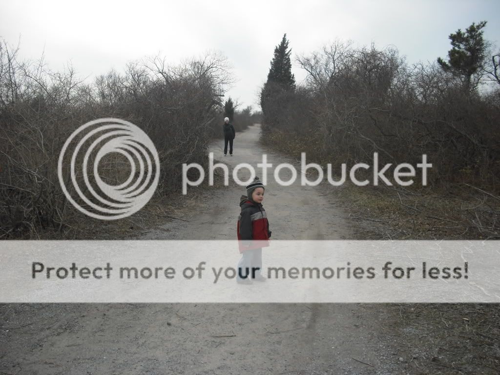 PICT0001-7.jpg