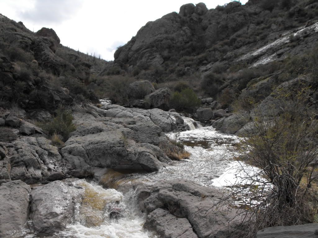 Picture043.jpg