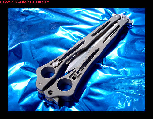 spyderfly45S.jpg